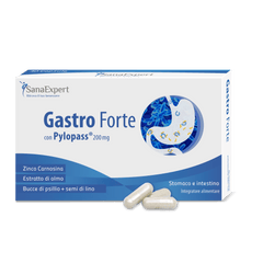 SanaExpert Gastro Forte