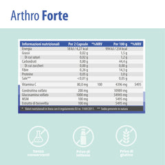 SanaExpert Arthro Forte