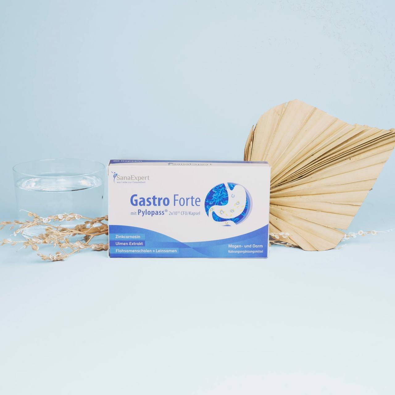SanaExpert Gastro Forte