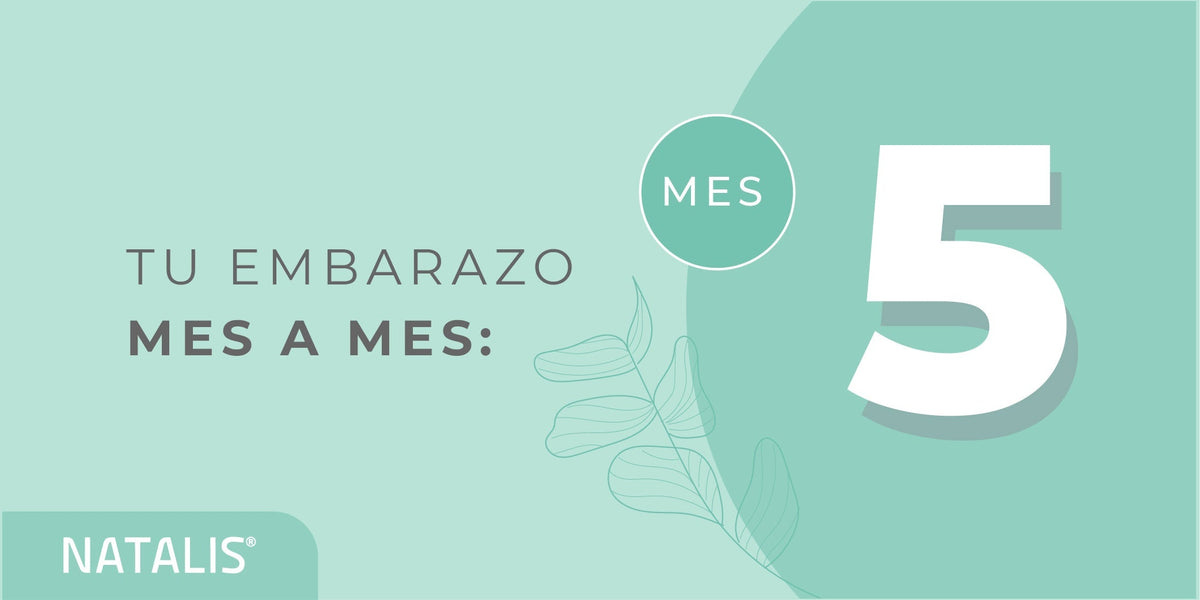 El quinto mes de embarazo: síntomas y desarrollo del bebé