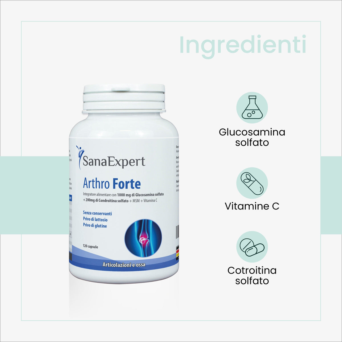 SanaExpert Arthro Forte