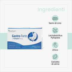 SanaExpert Gastro Forte ingredienti
