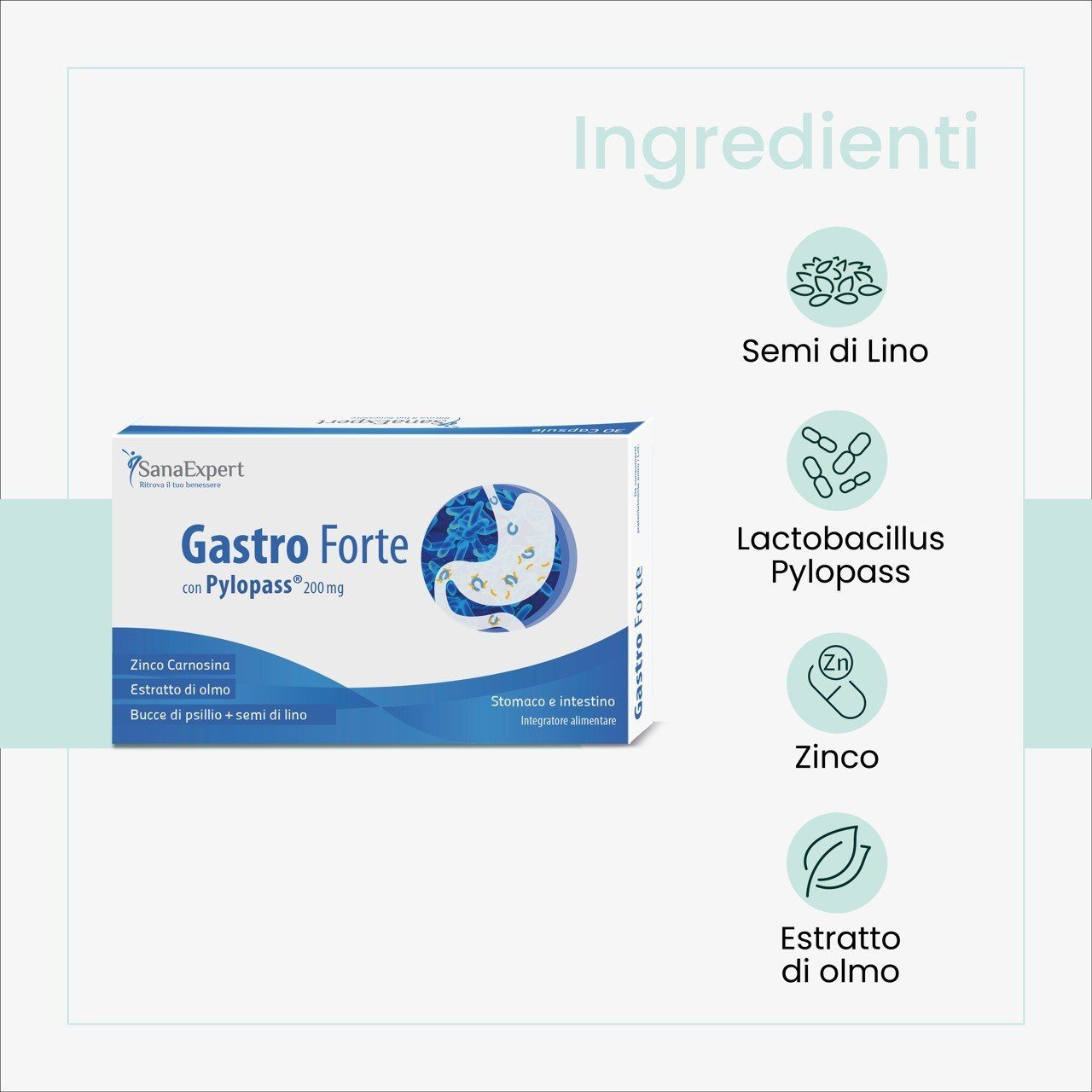 Pack 3 SanaExpert Gastro Forte ingredienti