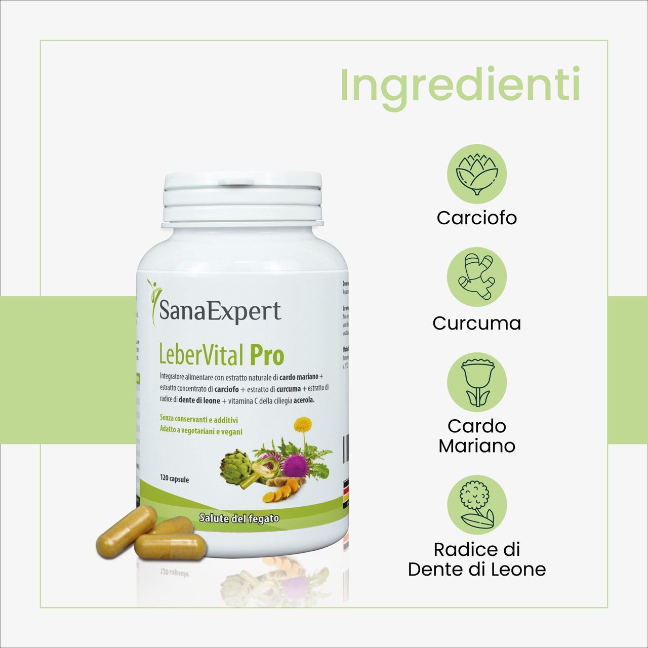 SanaExpert LeberVital Pro ingredienti